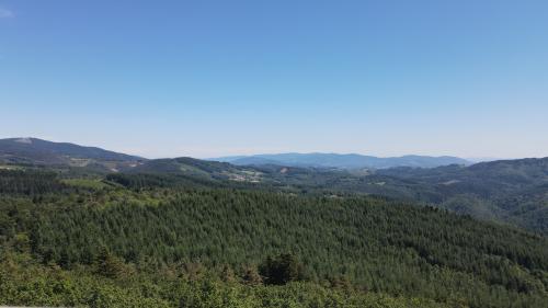 Filon de Quartz - Rez de Sol et Pierre du Sang [09-07-2022](1026).jpg